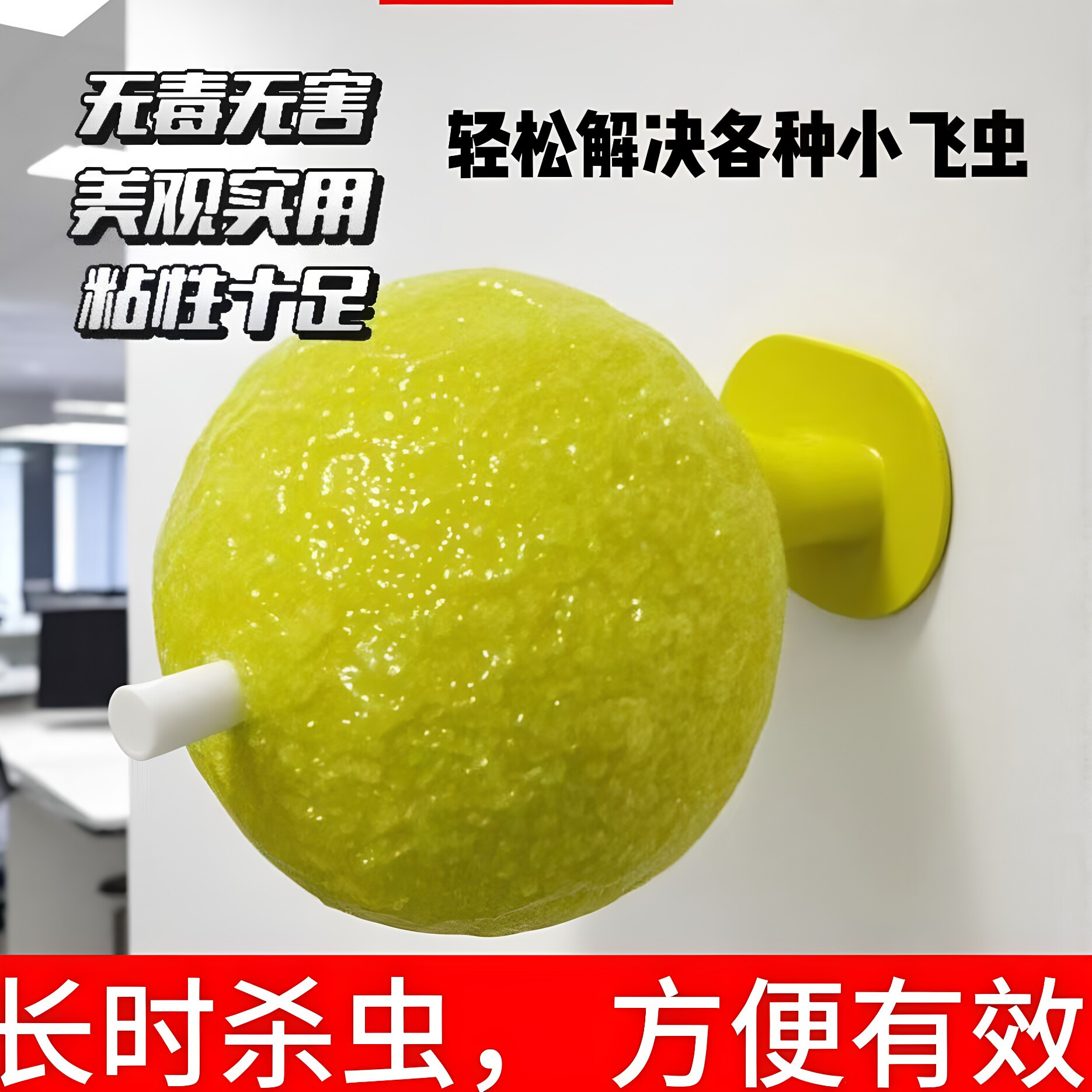 粘虫子粘飞虫球果蝇苍小飞虫诱捕
