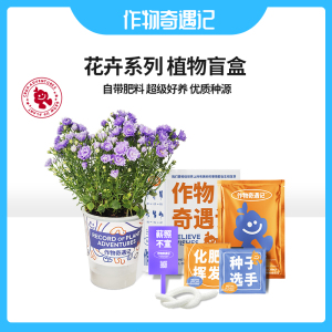 作物奇遇记植物盲盒儿童种植小盆栽办公室绿植花卉伴手礼新年礼物