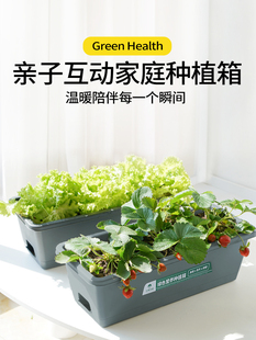 种植室内外阳台蔬菜生菜油菜种植箱 家庭盆栽食用四季