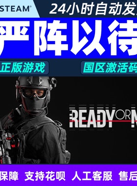 Steam 严阵以待 ready or not 国区激活码CDKEY 中文正版PC游戏