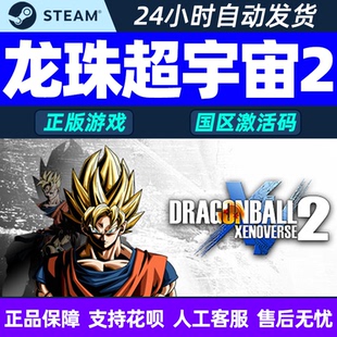 PC中文Steam龙珠超宇宙2国区cdkey激活码DRAGON BALL XENOVERSE2