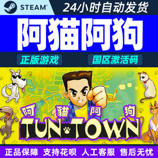 Steam 阿猫阿狗 TunTown 国区激活码CDKey 正版PC游戏