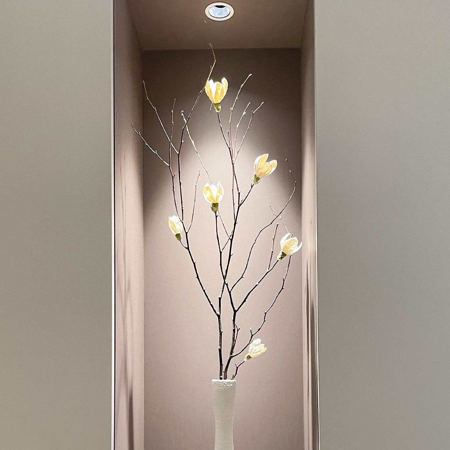 宋式美学玉兰花长枝干花图片