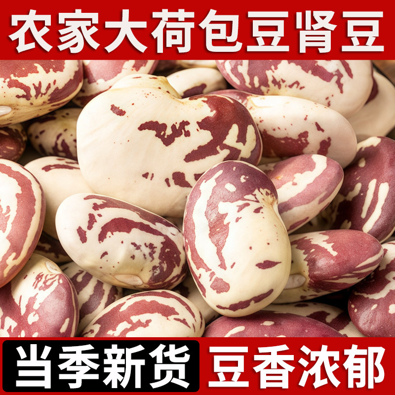 农家荷包豆2025年新货芸豆大肾豆状元豆五谷杂粮煲汤煮粥饱满软糯