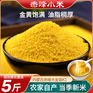 内蒙赤峰黄小米25年农家新米五谷杂粮粟米粗粮小米粥油脂丰厚
