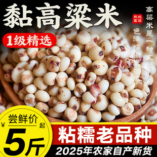 东北粘高粱米25年农家自产新米粗粮五谷杂粮酿酒糍粑黏糯红高粱