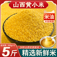 山西黃小米24年農(nóng)家新米米油稠厚