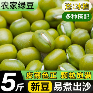 精选东北绿豆新货家用新鲜绿豆汤可发芽批发农家杂粮豆类