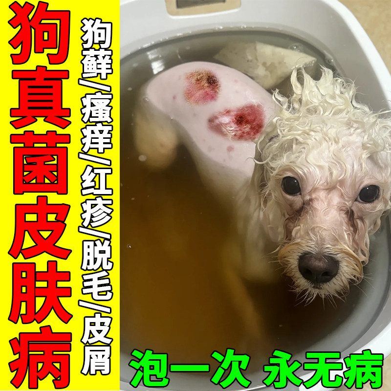 狗皮肤病真菌感染药浴洗澡沐浴露治狗藓脓皮症皮炎脱毛抑菌专用药