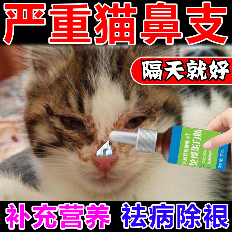 猫咪感冒药打喷嚏流鼻涕感冒专用鼻炎鼻塞药猫鼻支专用特效感冒药