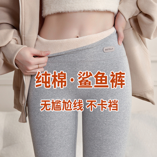 羊羔绒保暖打底秋裤 秋冬加绒加厚内穿秋裤 女外穿2025新款 棉鲨鱼裤