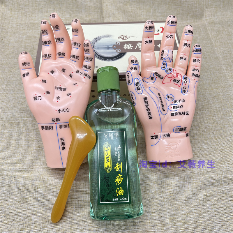 17cm小儿推拿手模型成人按摩手部穴位反射区手诊中医调理仿真