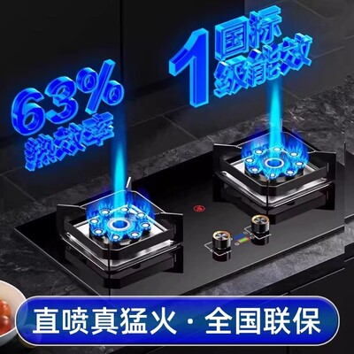 燃气灶家用双灶猛火节能