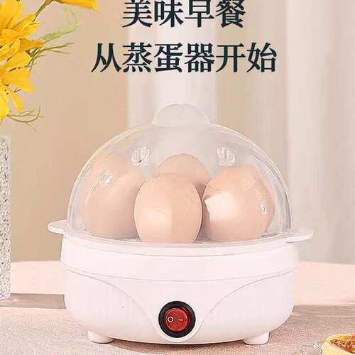 煮蛋器蒸蛋器自动断电家用小型迷你多功能蒸蛋羹煮鸡蛋机早餐神器