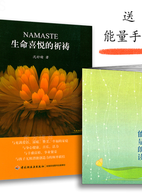 正版 （软精装）2017版 NAMASTE 生命喜悦的祈祷 沈妙瑜著 轻工业 活出生命的喜悦 赠能量朗读手册365天祈祷文 生命喜悦的祈祷