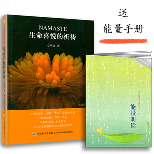 正版 2017版 軟精裝 祈禱 NAMASTE 沈妙瑜著 生命喜悅 活出生命 贈能量朗讀手冊365天祈禱文 喜悅 輕工業