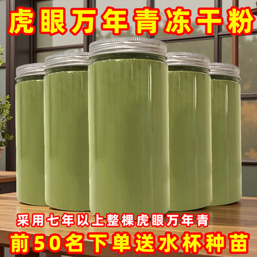 虎眼万年青冻干粉干叶送种苗