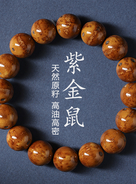 紫金鼠菩提子招财手串