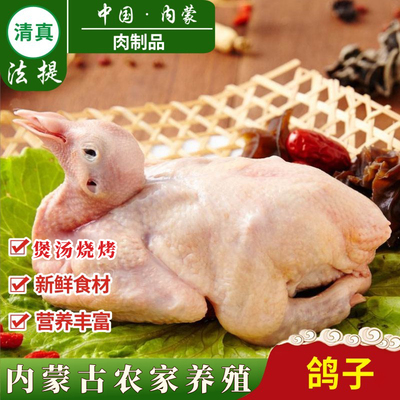 清真整只食用鸽子肉煲汤炖营养用