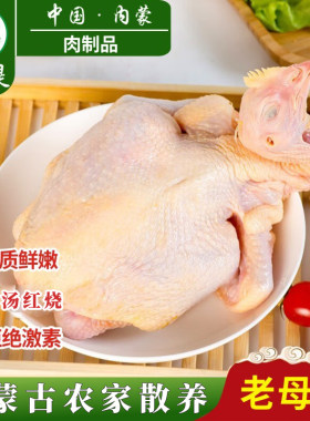 清真老母鸡生鲜冷冻内蒙农家土鸡