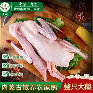 清真生鲜大鹅铁锅炖嫩鹅内蒙古新鲜冷冻整只鹅肉大白鹅草鹅处理好