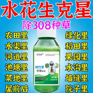 水花生克星烂根剂强力除草一扫光不伤苗菜地革命莲子水葫芦专用剂