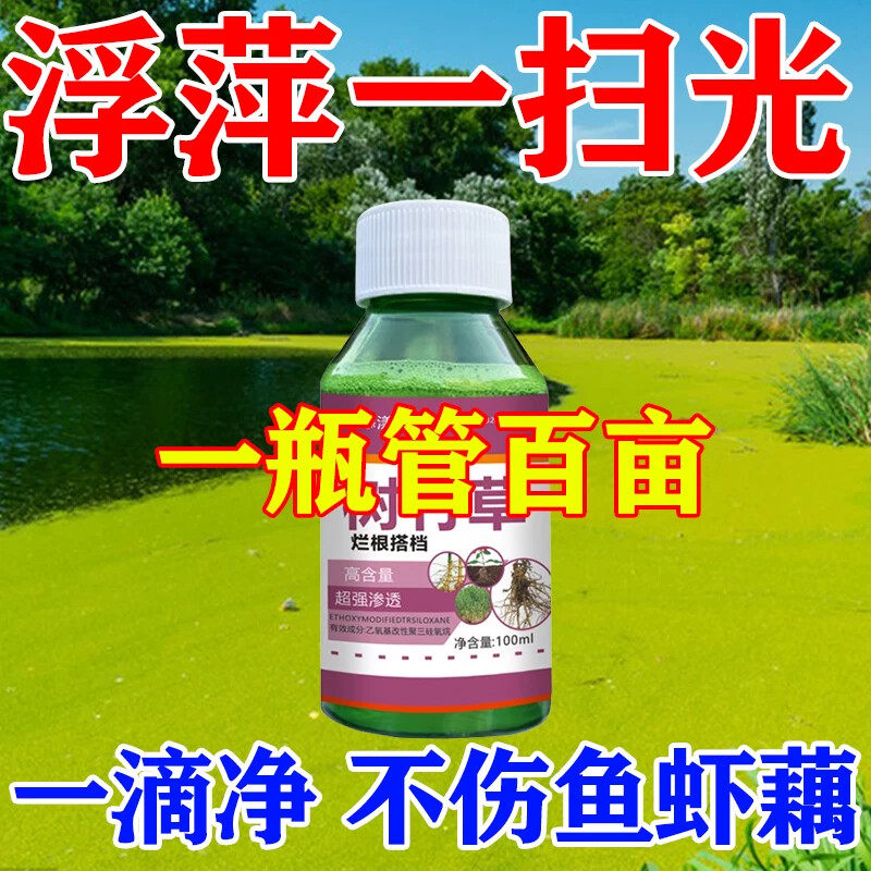 浮萍清除剂鱼塘水草浮萍一扫光三天池塘清除青苔水花生芦苇烂根剂