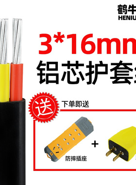 国标铝芯电缆2芯3芯2.546平方三芯家用户外架空白色护套线电线