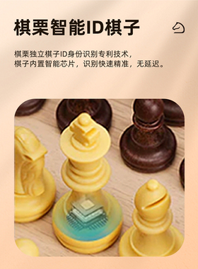 国际象棋棋子 棋栗智能象棋chessnut Air智能ID棋子高档防水防摔
