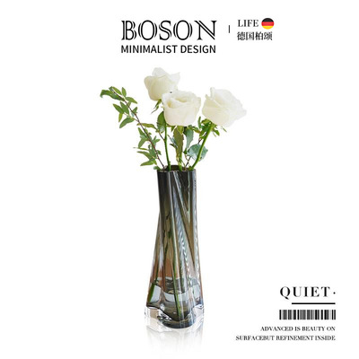 BOSON·Quiet· 花瓶轻奢摆件客厅创意不规则水培插花装饰 | 静谧