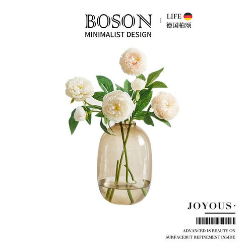BOSON·Joyous·花瓶吊钟雪柳马醉木专用玻璃透明客厅落地 | 喜悦