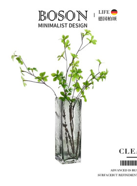 BOSON·Clear·花瓶玻璃透明简约创意水培插花花器客厅摆件 |清欢