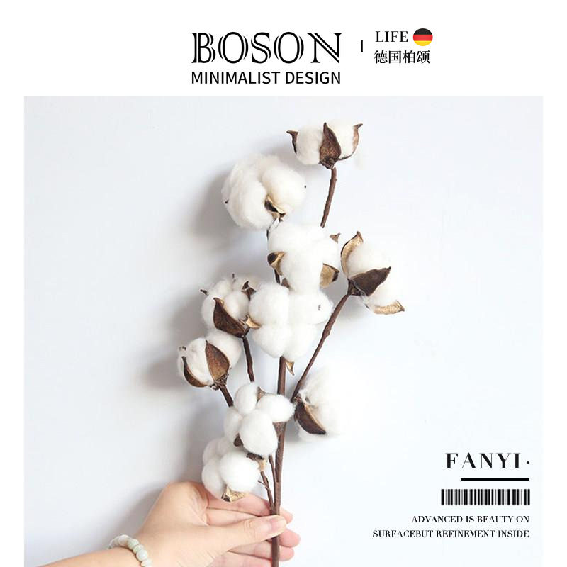 BOSON·Fanyi·彷真棉花枝天然棉花头干燥花花艺摆件家居装饰 |藩