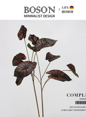 BOSON·Complex·彷真绿色植物海芋龙鳞芋叶盆栽龟背叶假花植物 |