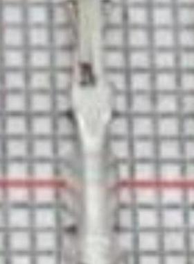 TE泰科连接器外端子 170349-2 进口原装 连接器护套 旺旺询价