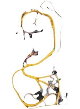 kostal 14467562699优势热卖 进口原装连接器  旺旺询价更优惠