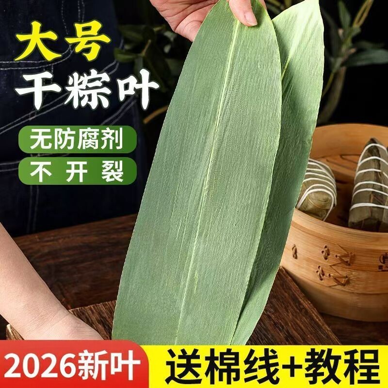 【当季新品】干粽叶大宽叶家用端午包粽子专用纯天然野生正宗批发