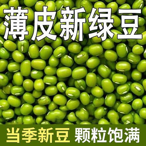 新货东北新鲜绿豆农家绿豆粥绿豆糕解暑绿豆汤豆芽五谷杂粮批发