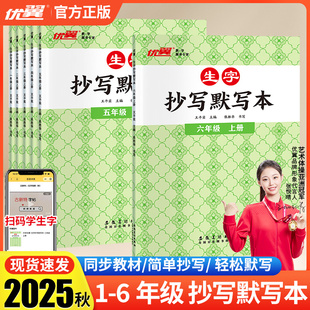 2025秋生字抄写默写本小学一二三四五六年级同步教材一类字二类字田字格高效练字独立默写拓展词汇量积累名师视频课扫码学生字
