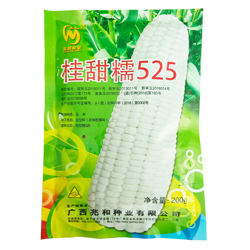 广西甜糯玉米种子抗病白轴大棒