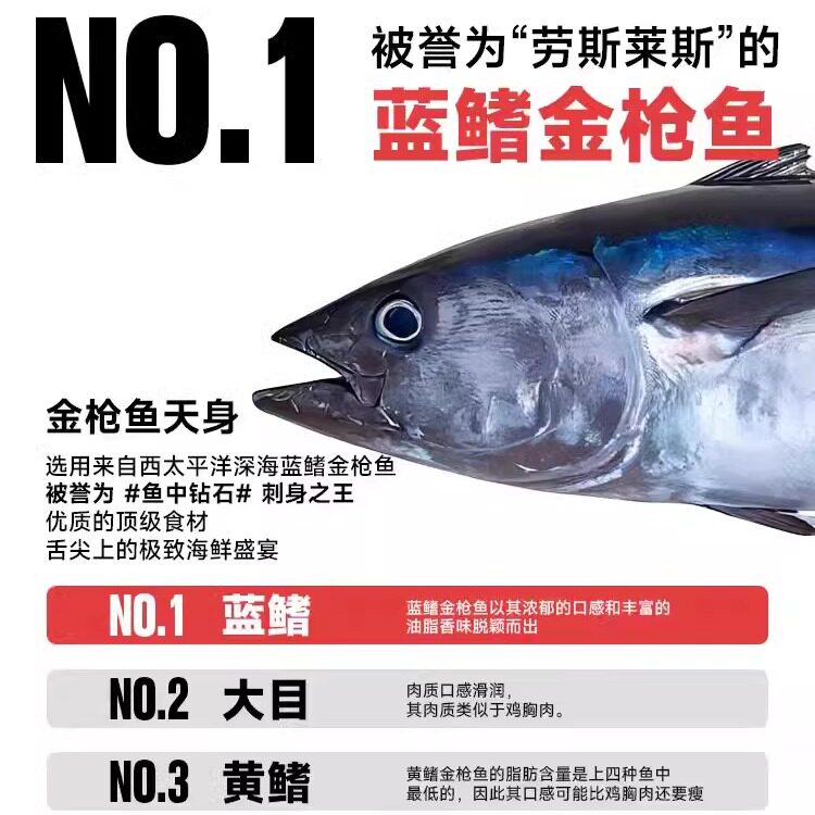 超低温蓝旗大目黄鳍金枪鱼刺身寿金枪鱼