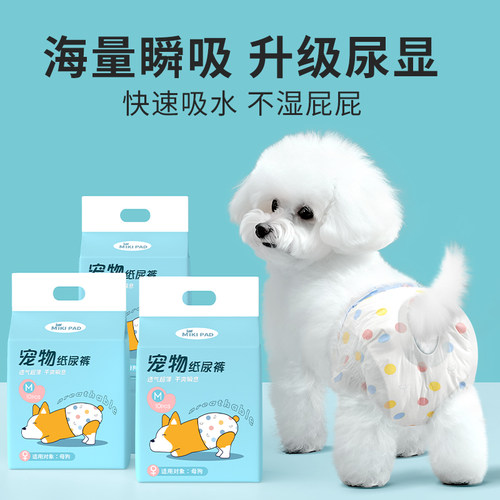 惠唛狗狗生理裤公母通用瞬吸干