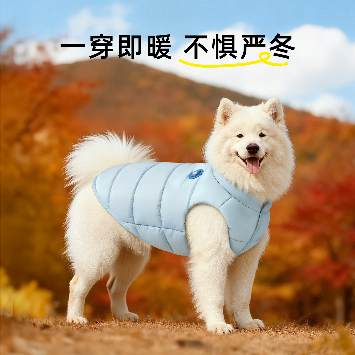 大狗冬季加绒加厚棉衣防寒保暖