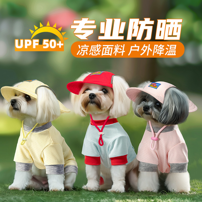 专业防晒户外降温雪纳瑞柴犬柯基