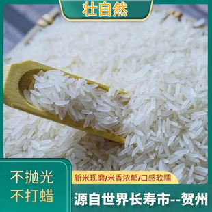 2025年新米当季超长粒香米软糯大米新鲜猫牙米丝苗米象牙细米晚稻