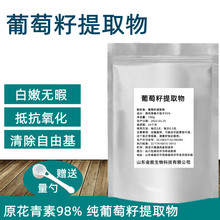 葡萄籽食品级提取物粉末
