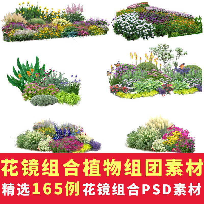 公园花园庭院市政绿化花境组合植物组团花丛景观psd分层设计素材