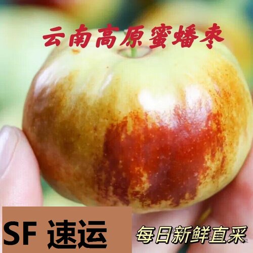 云南现摘脆甜冬枣包邮