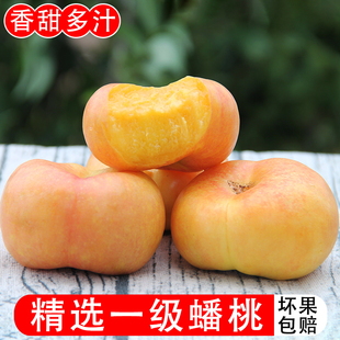 蟠桃新鲜水果5斤现摘纽扣黄油蟠当季整箱应季黄金奶油蟠桃子包邮