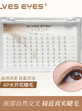 【特价清货】6P大开花美睫睫毛美甲美睫店美睫师专用升级款浓密